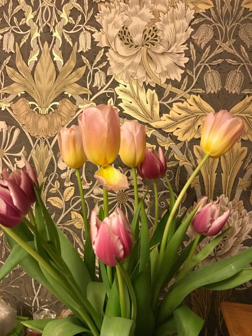 Tulips and William Morris